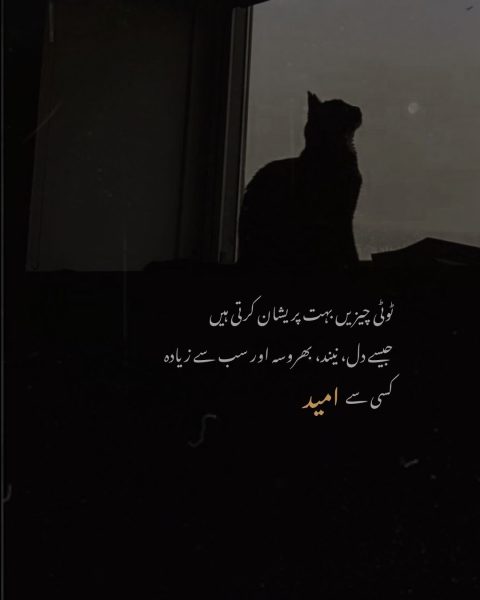 best life quotes in urdu, inspirational life quotes in urdu, best life quotes in urdu with meaning, life poetry in urdu