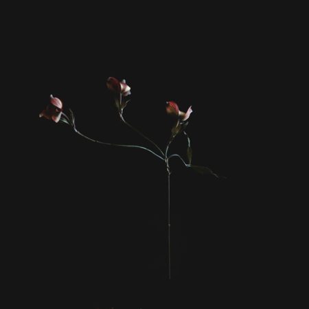 Main Mohabbat Hoon Mohabbat Ko Zawaal Nahin - Urdu Shayari