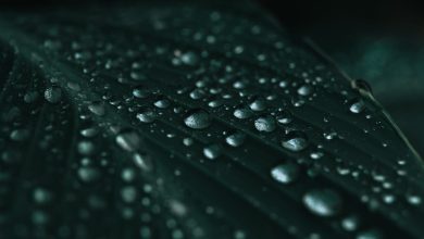 Kisi Ka Ishq, Kisi Ka Khayaal The Hum Bhi - Urdu Shayari