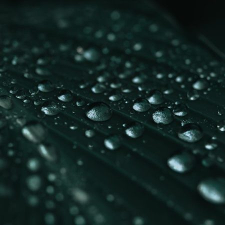 Kisi Ka Ishq, Kisi Ka Khayaal The Hum Bhi - Urdu Shayari