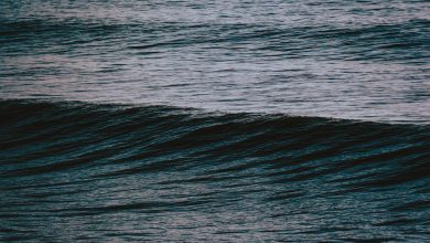 Ghazal - Honton Pe Saahilon Ki Tarah Tashnagi Rahi