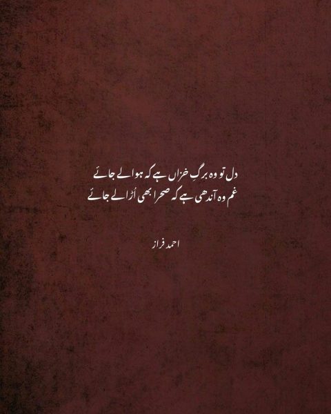 Dil To Woh Barg-e-Khizaan Hai Ke Hawa Le Jaye Ahmad Faraz Poetry Collection