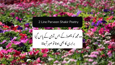 2 line Parveen Shakir Poetry - Parveen Shakir Best Poetry