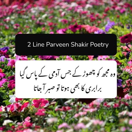 2 line Parveen Shakir Poetry - Parveen Shakir Best Poetry