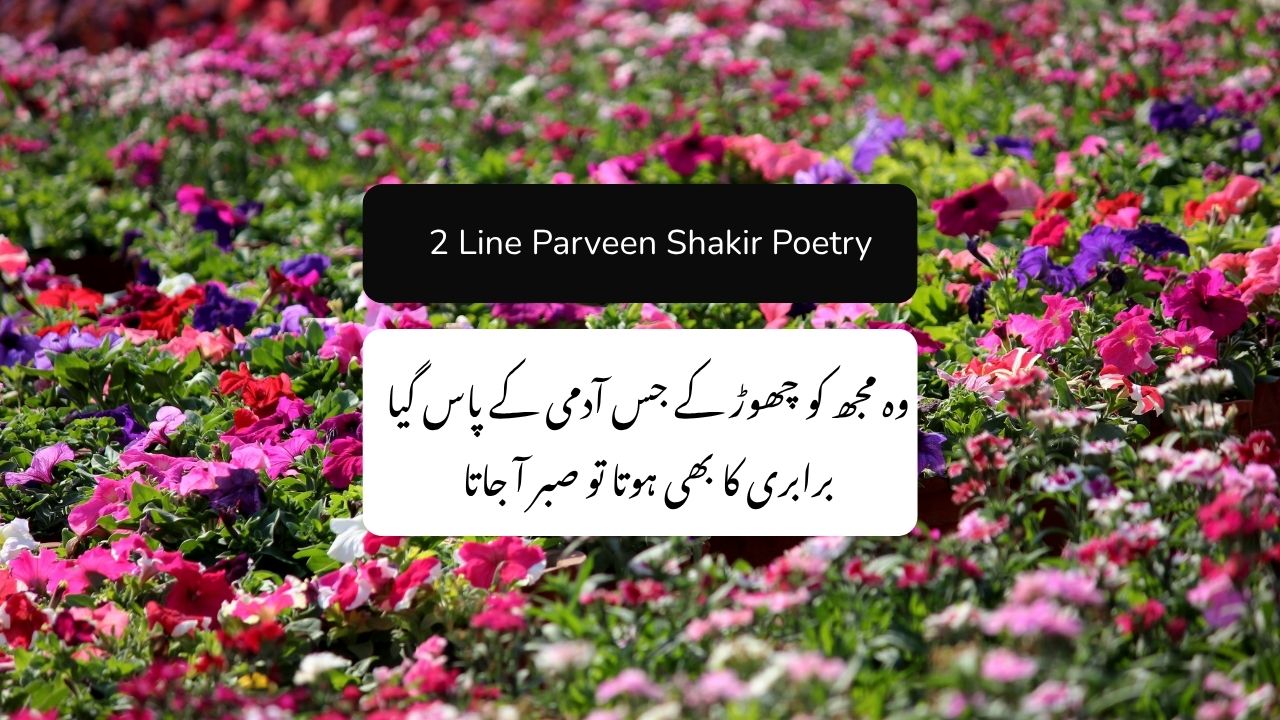 Parween 2 2 line Parveen Shakir Poetry - Parveen Shakir Best Poetry - Kalaam Gah