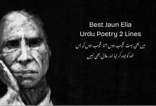 Best Jaun Elia Urdu Poetry 2 Lines | Jaun Elia 2 Line Shayari