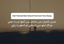 Meri Takmeel Mein Shaamil Hain Kuch Tere Hissay - Shayari