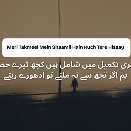 Meri Takmeel Mein Shaamil Hain Kuch Tere Hissay - Shayari