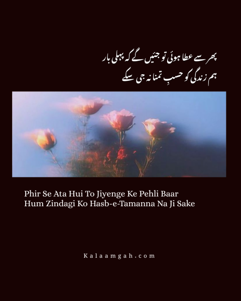 2 Line Heart Broken Poetry Collection - Sad Poetry in Urdu