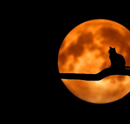 Sunahra Din Shab-e-Tareek Lag Raha Hai Mujhe - Ghazal