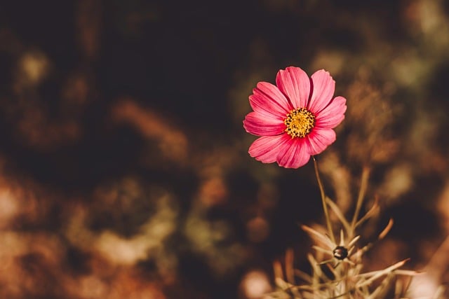 Sirf Mehram Na Bano Dil Ke Dildaar Bano - Urdu Poetry