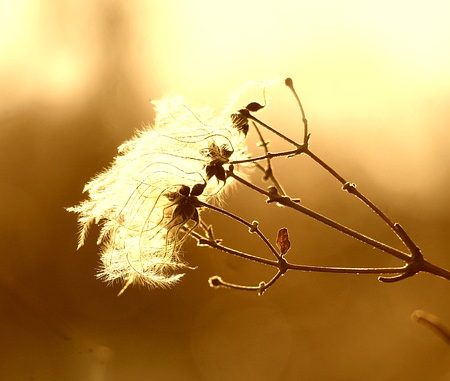 Tu Nahin To Zindagi Mein Aur Kya Reh Jaayega - Ghazal
