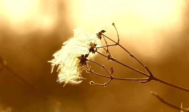 Tu Nahin To Zindagi Mein Aur Kya Reh Jaayega - Ghazal
