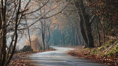 Humein Aawaaz De Dena - Urdu Poetry