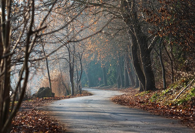 Humein Aawaaz De Dena - Urdu Poetry