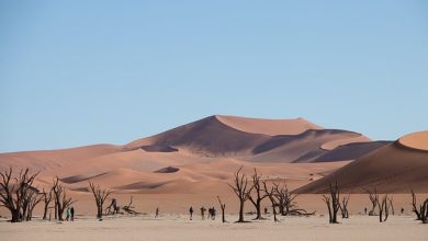 Dharkan The, Dua The, Mere Hone Ka Yaqeen The - Urdu Poetry