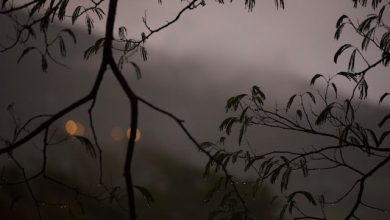 Mohabbat Hum Se Karni Hai To Phir - Urdu Shayari