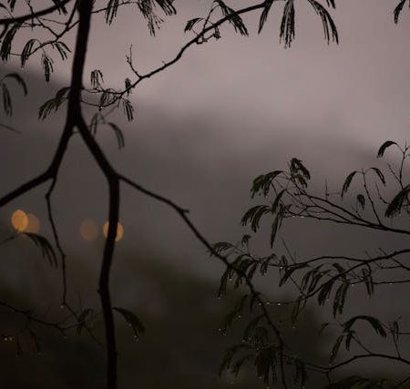 Mohabbat Hum Se Karni Hai To Phir - Urdu Shayari