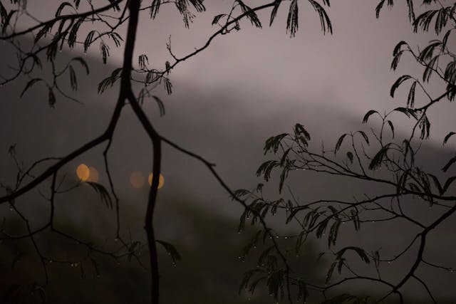 Mohabbat Hum Se Karni Hai To Phir - Urdu Shayari