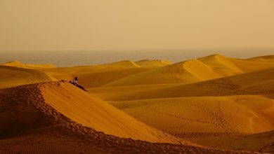 Karray Safar Mein Agar Rasta Badalna Tha - Ghazal