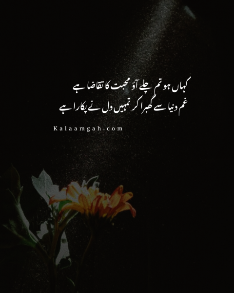 Kahan Ho Tum Chale Aao Mohabbat Ka Taqaza Ha
Lyrics in Urdu