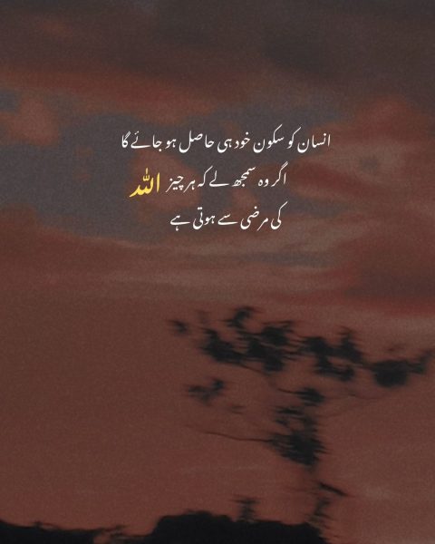 Urdu Quotes WhatsApp Status With Images | Deep Urdu Lines