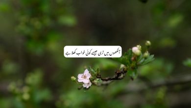 Aankhon Mein Teri Jaise Koi Khwab Khila Hai - Poetry in Urdu