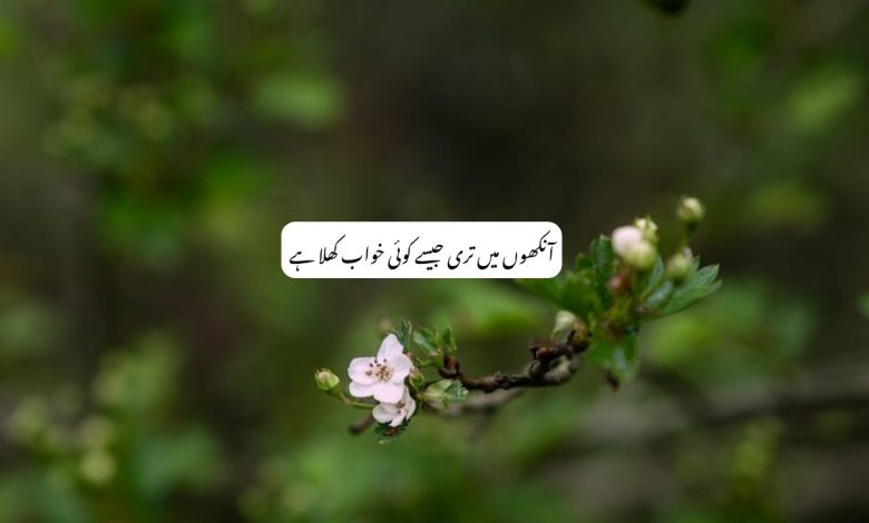 Aankhon Mein Teri Jaise Koi Khwab Khila Hai - Poetry in Urdu