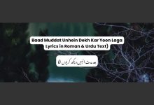 Baad Muddat Unhein Dekh Kar Yoon Laga Lyrics in Roman & Urdu Text)