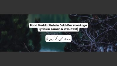 Baad Muddat Unhein Dekh Kar Yoon Laga Lyrics in Roman & Urdu Text)