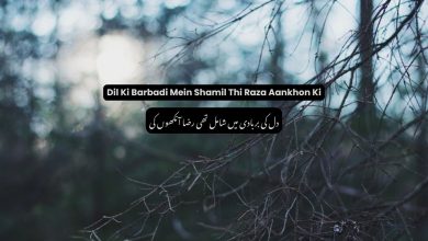 Dil Ki Barbadi Mein Shamil Thi Raza Aankhon Ki - Ghazal