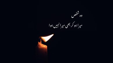 Ek Chhota Sa Khwaab Tha Jo Poora Nahi Hua - Urdu Sad Poetry