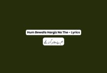 Hum Bewafa Hargiz Na The - Lyrics