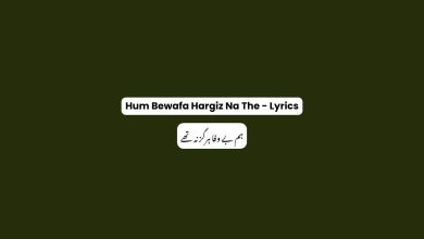 Hum Bewafa Hargiz Na The - Lyrics