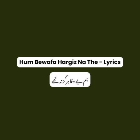 Hum Bewafa Hargiz Na The - Lyrics