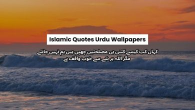 Beautiful Islamic Quotes In Urdu - Islamic Quotes on Life in Urdu