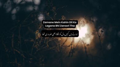 Zamane Mein Kahin Dil Ko Lagana Bhi Zaroori Tha - Ghazal