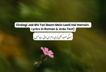 Zindagi Jab Bhi Teri Bazm Mein Laati Hai Hamein Lyrics Lyrics in Urdu Text