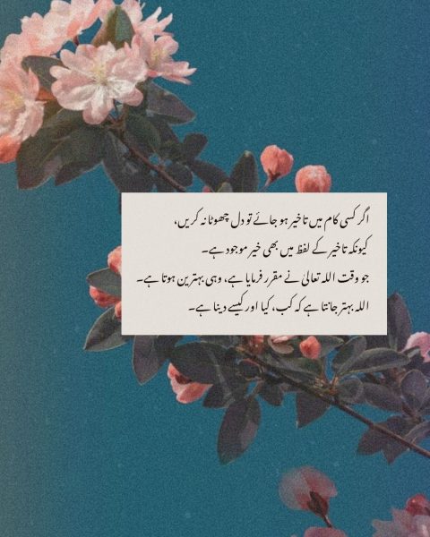 Beautiful Islamic Quotes In Urdu - Islamic Quotes on Life in Urdu