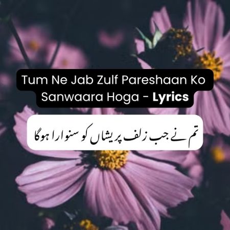 Tum Ne Jab Zulf Pareshaan Ko Sanwaara Hoga Lyrics