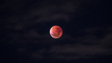 Hum Ko To Gardish-E-Halaat Pe Rona Aaya - Ghazal