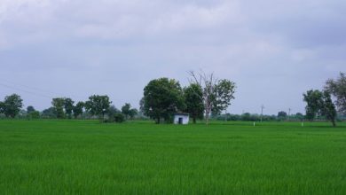 Fikr-e-Ma'aash-o-Ishq-e-Butaan Yaad-e-Raftagaan