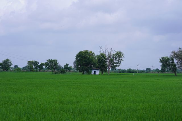 Fikr-e-Ma'aash-o-Ishq-e-Butaan Yaad-e-Raftagaan